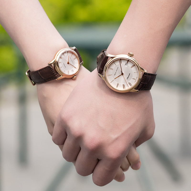 Seagull Men's Mechanical Watch - Omega Watch Constellation recension och pris